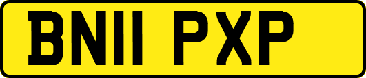 BN11PXP