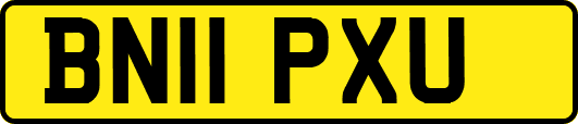 BN11PXU
