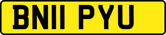BN11PYU