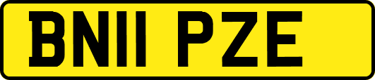 BN11PZE