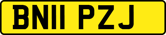 BN11PZJ