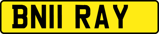 BN11RAY