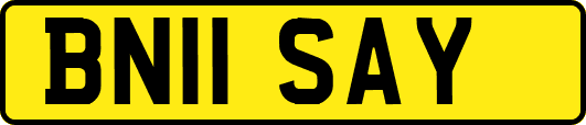 BN11SAY