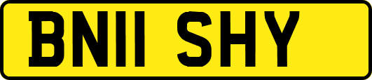 BN11SHY