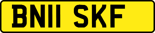 BN11SKF