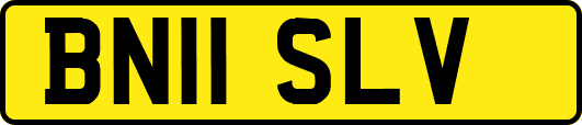 BN11SLV
