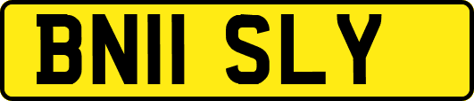 BN11SLY