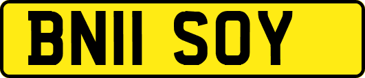BN11SOY