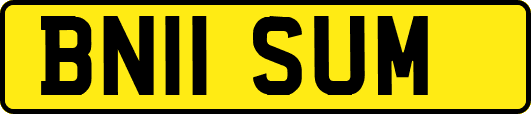 BN11SUM