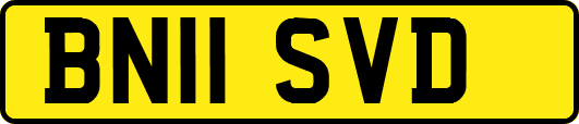 BN11SVD