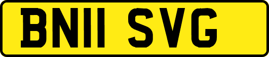 BN11SVG