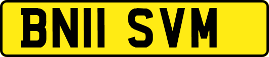 BN11SVM