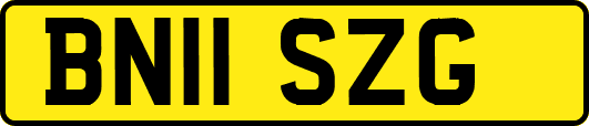 BN11SZG