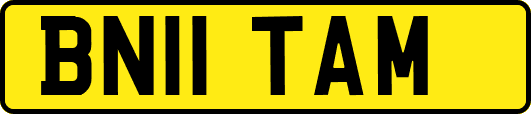 BN11TAM