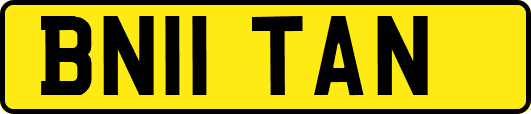 BN11TAN
