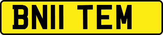 BN11TEM