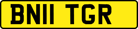 BN11TGR