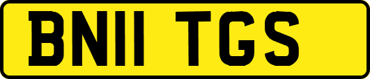 BN11TGS
