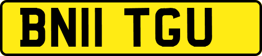 BN11TGU