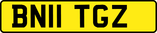 BN11TGZ