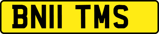 BN11TMS