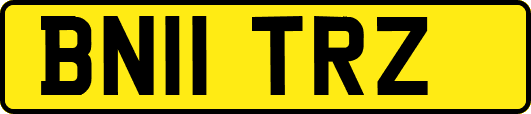 BN11TRZ