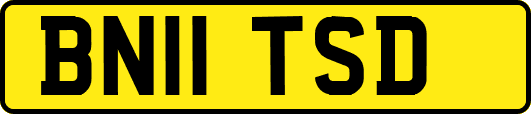 BN11TSD