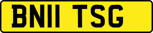 BN11TSG