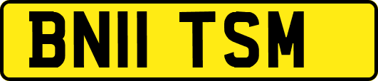 BN11TSM