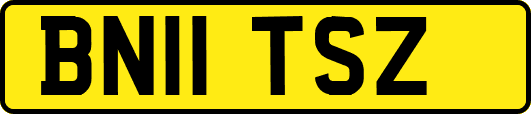 BN11TSZ