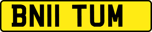 BN11TUM