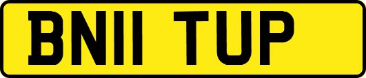BN11TUP