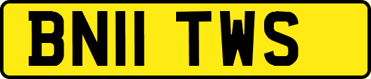 BN11TWS