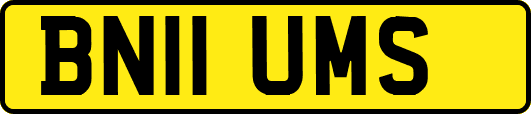 BN11UMS