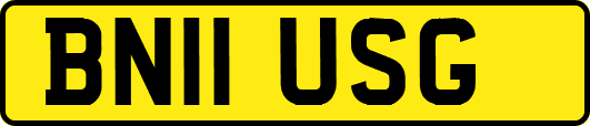 BN11USG