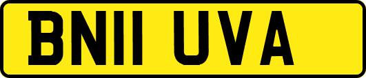 BN11UVA