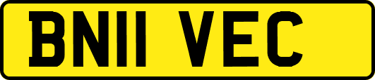 BN11VEC