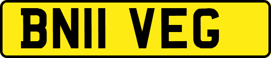 BN11VEG