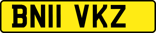 BN11VKZ