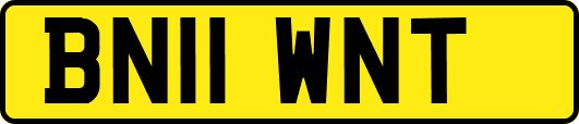 BN11WNT