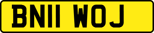 BN11WOJ