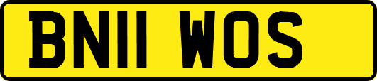 BN11WOS