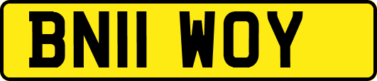 BN11WOY