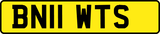 BN11WTS