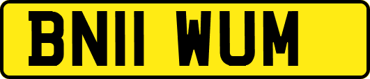 BN11WUM