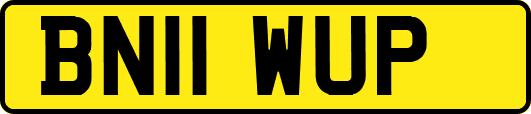BN11WUP