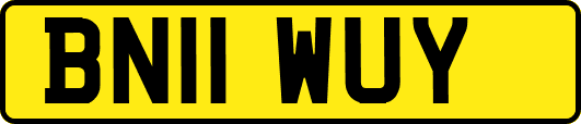 BN11WUY