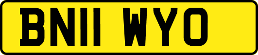 BN11WYO