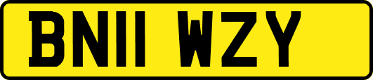 BN11WZY