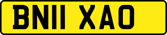 BN11XAO